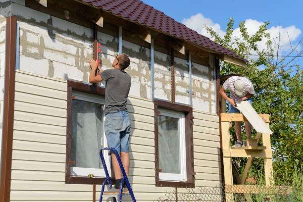 Best Custom Trim and Detailing for Siding  in Wiggins, MS