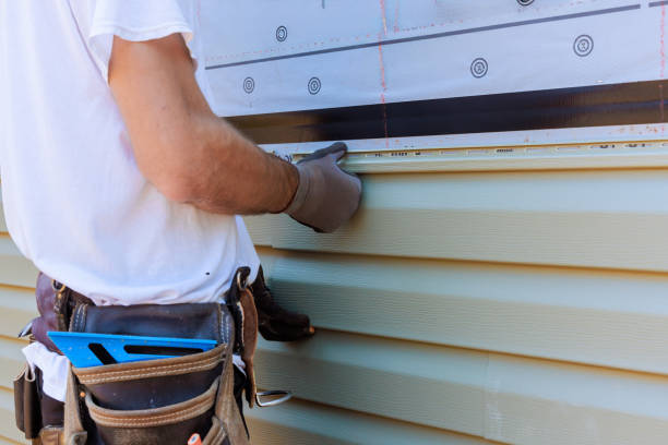 Best Fascia and Soffit Installation  in Wiggins, MS